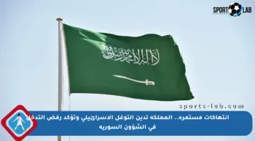 انتهاكات مستمرة.. المملكة تدين التوغل الإسرائيلي وتؤكد رفض التدخل في الشؤون السورية